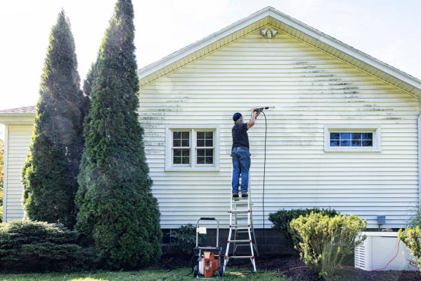 Best Pressure Washing Brick  in Palmer Lake, CO